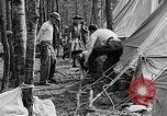 Image of reforestation program Washington DC USA, 1936, second 32 stock footage video 65675054706