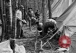 Image of reforestation program Washington DC USA, 1936, second 33 stock footage video 65675054706