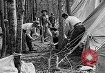 Image of reforestation program Washington DC USA, 1936, second 34 stock footage video 65675054706