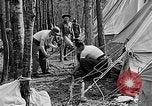 Image of reforestation program Washington DC USA, 1936, second 35 stock footage video 65675054706