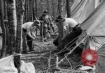 Image of reforestation program Washington DC USA, 1936, second 37 stock footage video 65675054706