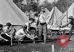 Image of reforestation program Washington DC USA, 1936, second 39 stock footage video 65675054706