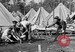 Image of reforestation program Washington DC USA, 1936, second 46 stock footage video 65675054706