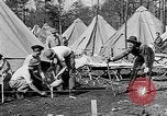 Image of reforestation program Washington DC USA, 1936, second 47 stock footage video 65675054706