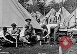 Image of reforestation program Washington DC USA, 1936, second 49 stock footage video 65675054706
