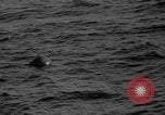Image convoi de navires France, 1944, de la seconde 19 séquences d'archives historiques vidéo 65675054743