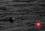Image convoi de navires France, 1944, de la seconde 20 séquences d'archives historiques vidéo 65675054743