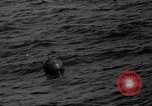 Image convoi de navires France, 1944, de la seconde 24 séquences d'archives historiques vidéo 65675054743