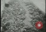 Image of Ohrdruf concentration camp atrocities Germany, 1945, second 27 stock footage video 65675054782