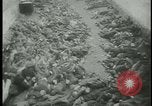 Image of Ohrdruf concentration camp atrocities Germany, 1945, second 28 stock footage video 65675054782