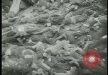 Image of Ohrdruf concentration camp atrocities Germany, 1945, second 37 stock footage video 65675054782