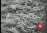 Image of Ohrdruf concentration camp atrocities Germany, 1945, second 39 stock footage video 65675054782