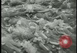Image of Ohrdruf concentration camp atrocities Germany, 1945, second 40 stock footage video 65675054782