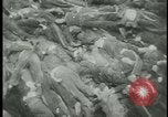 Image of Ohrdruf concentration camp atrocities Germany, 1945, second 43 stock footage video 65675054782
