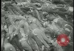 Image of Ohrdruf concentration camp atrocities Germany, 1945, second 44 stock footage video 65675054782