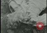 Image of Ohrdruf concentration camp atrocities Germany, 1945, second 57 stock footage video 65675054782