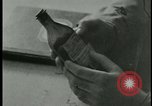 Standbild Konzentrationslager Deutschland, 1945, aus Sekunde 26 historischem Filmmaterial Videoclip 65675054783