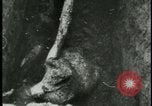 Standbild Konzentrationslager Deutschland, 1945, aus Sekunde 49 historischem Filmmaterial Videoclip 65675054783