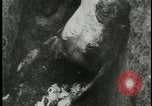 Standbild Konzentrationslager Deutschland, 1945, aus Sekunde 51 historischem Filmmaterial Videoclip 65675054783