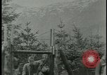 Immagine di Vittime del campo di concentramento Germania, 1945, secondo 58 filmato di repertorio 65675054784