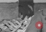 Standbild Ohrdruf Konzentrationslager Deutschland, 1945, aus Sekunde 35 historischem Filmmaterial Videoclip 65675054788
