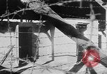 Standbild Ohrdruf Konzentrationslager Deutschland, 1945, aus Sekunde 39 historischem Filmmaterial Videoclip 65675054788