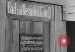 Standbild Ohrdruf Konzentrationslager Deutschland, 1945, aus Sekunde 44 historischem Filmmaterial Videoclip 65675054788