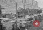 Standbild Ohrdruf Konzentrationslager Deutschland, 1945, aus Sekunde 58 historischem Filmmaterial Videoclip 65675054788