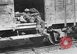 Image of nazi atrocity victims World War 2 Germany, 1945, second 5 stock footage video 65675054789