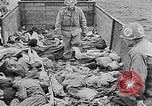 Image of nazi atrocity victims World War 2 Germany, 1945, second 11 stock footage video 65675054789