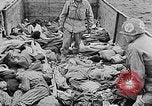 Image of nazi atrocity victims World War 2 Germany, 1945, second 12 stock footage video 65675054789
