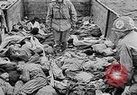 Image of nazi atrocity victims World War 2 Germany, 1945, second 13 stock footage video 65675054789