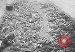 Image of nazi atrocity victims World War 2 Germany, 1945, second 26 stock footage video 65675054789