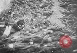 Image of nazi atrocity victims World War 2 Germany, 1945, second 30 stock footage video 65675054789
