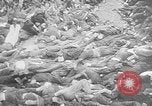 Image of nazi atrocity victims World War 2 Germany, 1945, second 33 stock footage video 65675054789