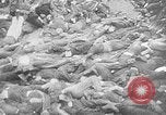Image of nazi atrocity victims World War 2 Germany, 1945, second 34 stock footage video 65675054789