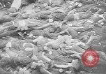 Image of nazi atrocity victims World War 2 Germany, 1945, second 36 stock footage video 65675054789