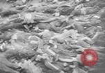 Image of nazi atrocity victims World War 2 Germany, 1945, second 37 stock footage video 65675054789
