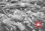 Image of nazi atrocity victims World War 2 Germany, 1945, second 39 stock footage video 65675054789
