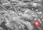 Image of nazi atrocity victims World War 2 Germany, 1945, second 41 stock footage video 65675054789