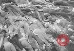 Image of nazi atrocity victims World War 2 Germany, 1945, second 42 stock footage video 65675054789