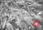 Image of nazi atrocity victims World War 2 Germany, 1945, second 43 stock footage video 65675054789