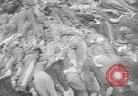 Image of nazi atrocity victims World War 2 Germany, 1945, second 44 stock footage video 65675054789