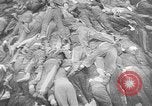 Image of nazi atrocity victims World War 2 Germany, 1945, second 45 stock footage video 65675054789