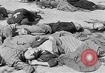 Image of nazi atrocity victims World War 2 Germany, 1945, second 47 stock footage video 65675054789