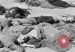 Image of nazi atrocity victims World War 2 Germany, 1945, second 48 stock footage video 65675054789