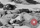 Image of nazi atrocity victims World War 2 Germany, 1945, second 50 stock footage video 65675054789