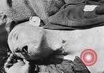 Image of nazi atrocity victims World War 2 Germany, 1945, second 51 stock footage video 65675054789