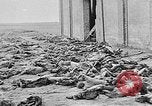 Image of nazi atrocity victims World War 2 Germany, 1945, second 61 stock footage video 65675054789