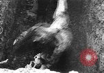Image of concentration camps Germany, 1945, second 47 stock footage video 65675054790